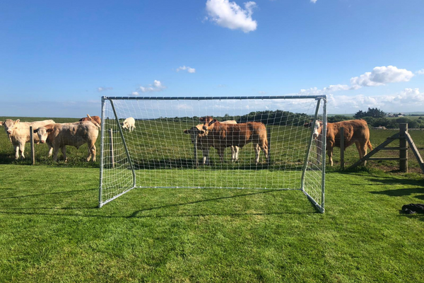 Tubeclamps: Your DIY Guide to Home Improvement 